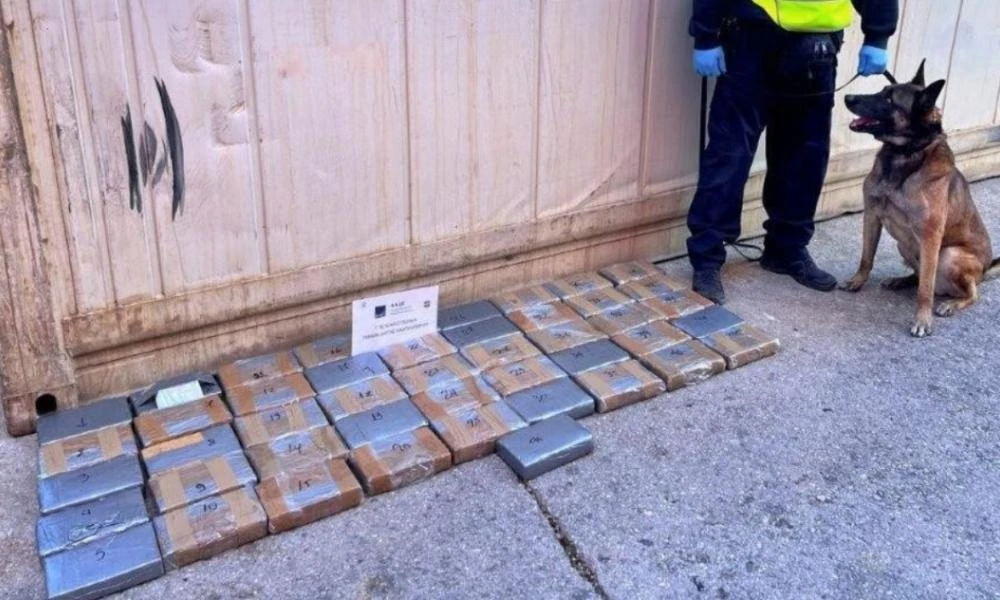 ΑΑΔΕ: Βρήκαν κοκαΐνη αξίας 2,8 εκατ. ευρώ σε κοντέινερ με μπανάνες από το Εκουαδόρ